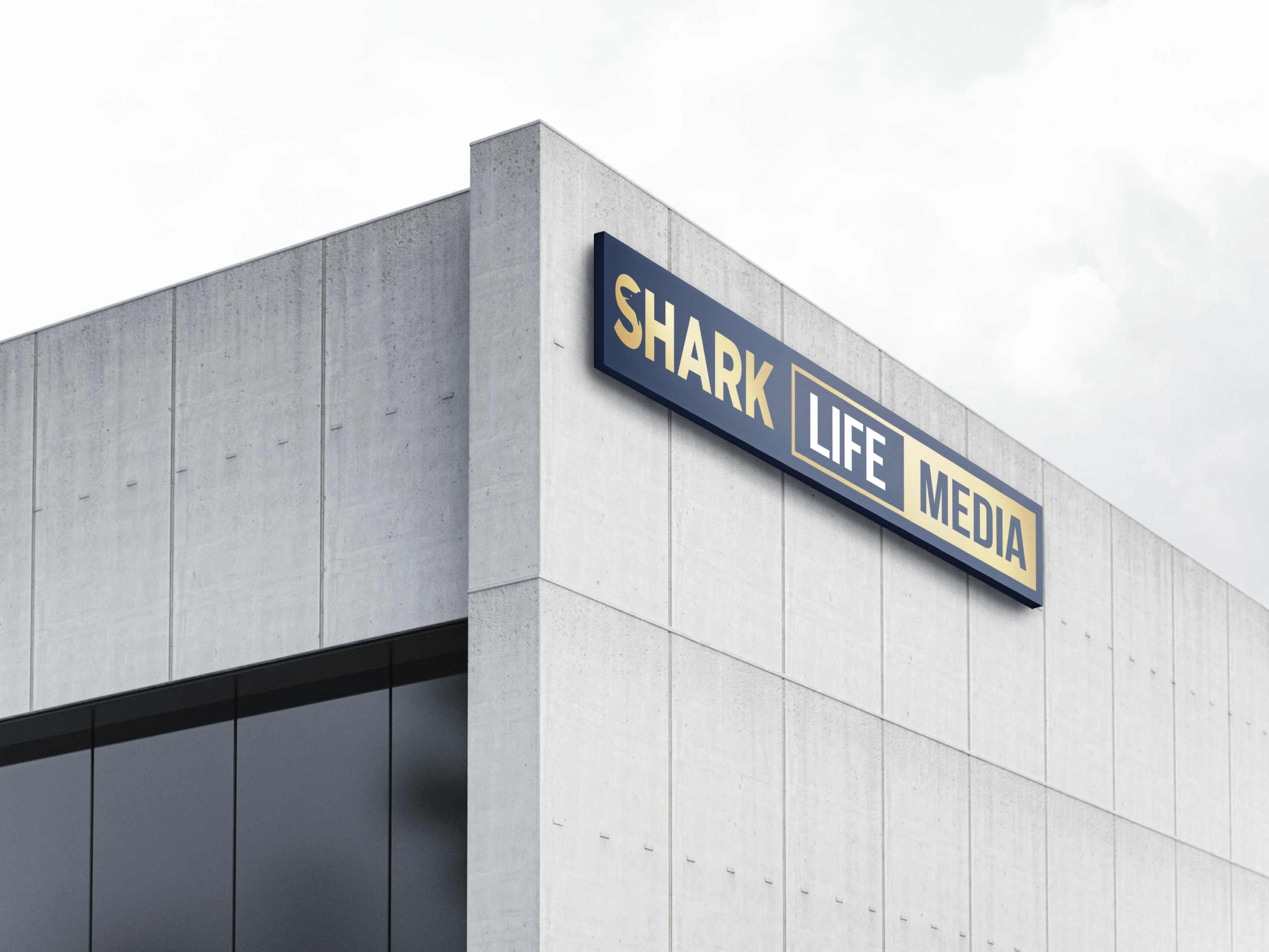 Shark Life Media Office Building